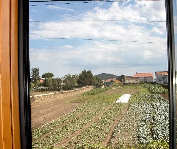 Alminhas House Rum i privatbostad *